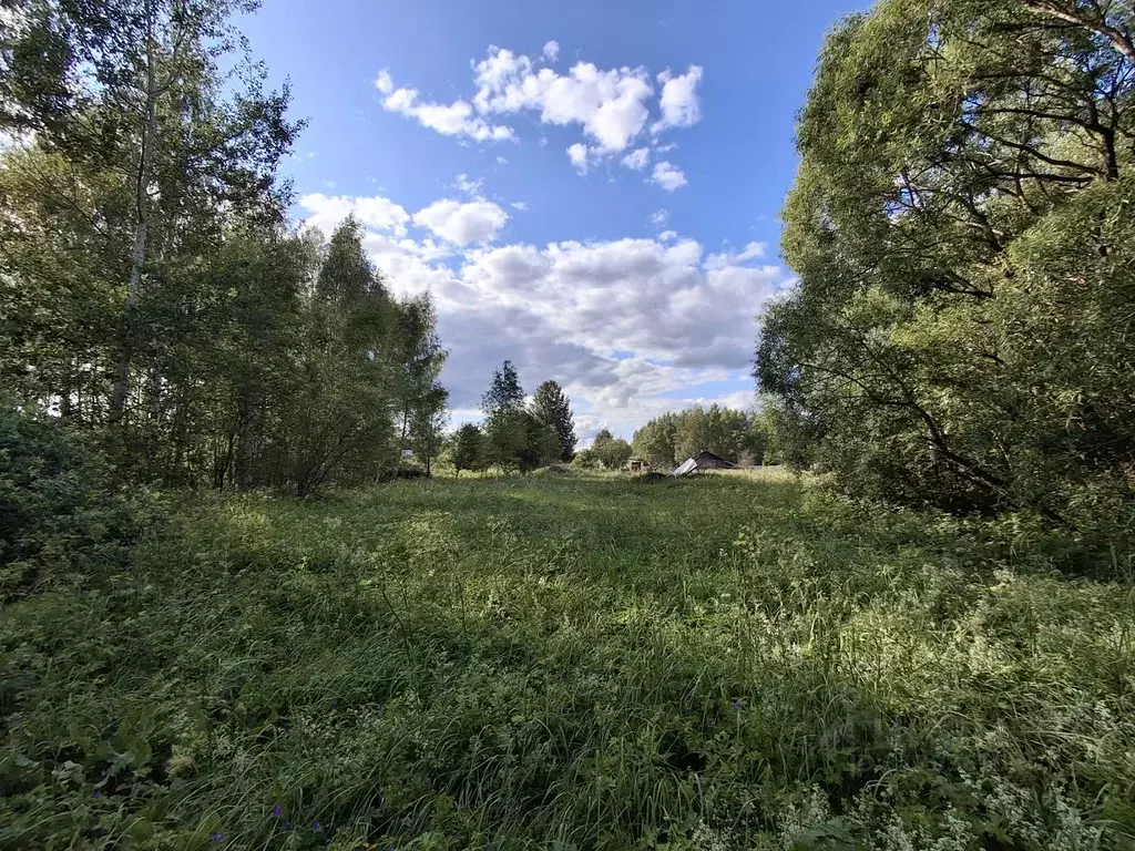 Участок в Тверская область, Кимрский муниципальный округ, д. Кадниково ... - Фото 1