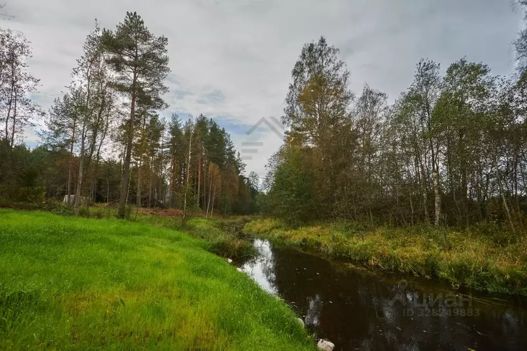 Дом в Ленинградская область, Приозерский район, Раздольевское с/пос, ... - Фото 1