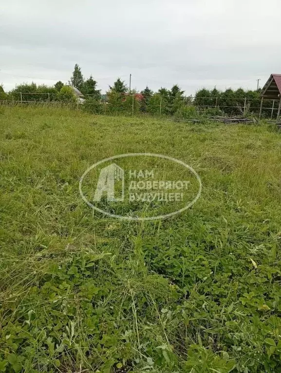 Участок в Пермский край, Кунгурский муниципальный округ, д. Дейково ... - Фото 2