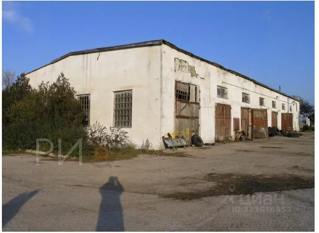 Производственное помещение в Крым, Черноморский район, с. Кировское ... - Фото 2