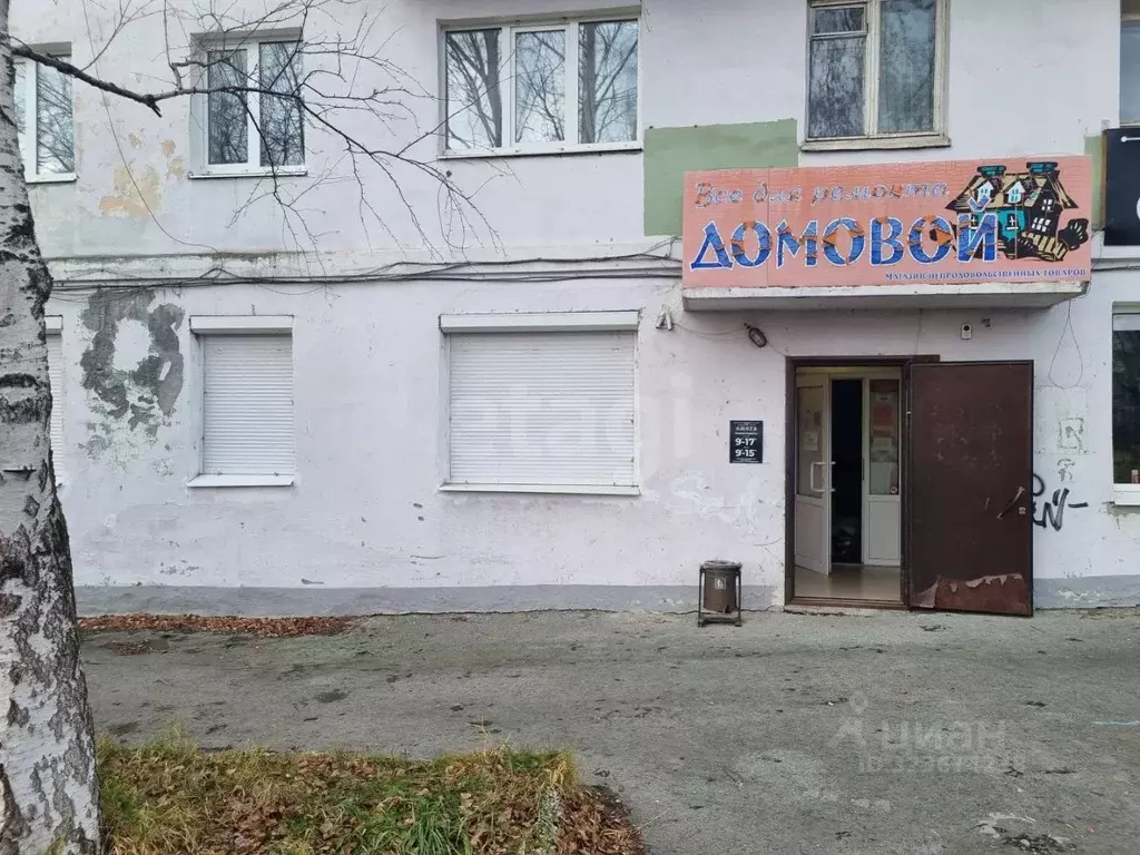 Помещение свободного назначения в Свердловская область, Кушва ул. ... - Фото 1