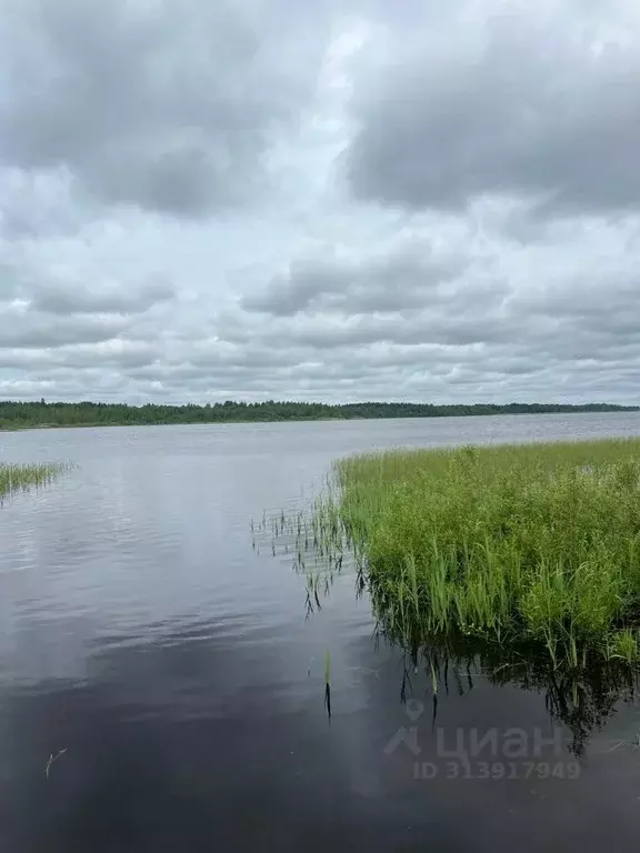 Участок в Ленинградская область, Гатчинский район, д. Заозерье  (15.0 ... - Фото 1