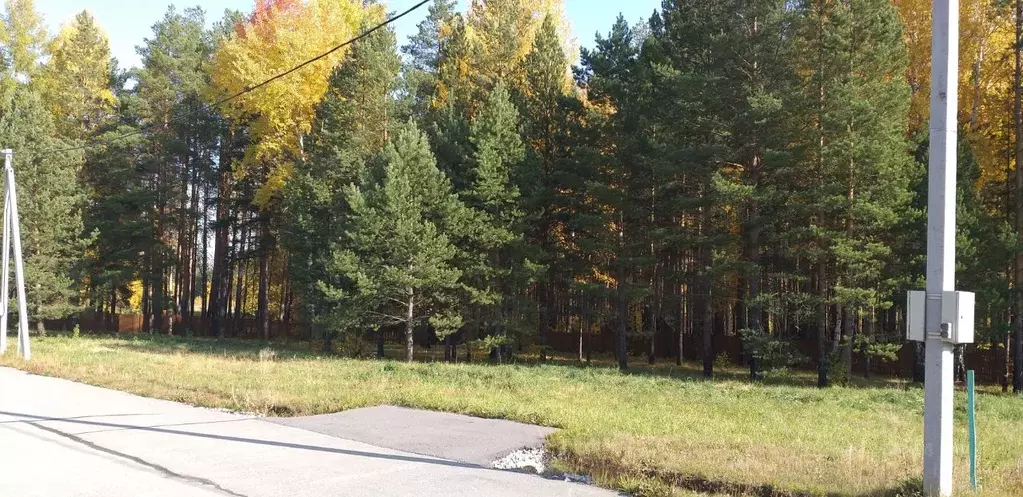 Участок в Свердловская область, Верхняя Пышма городской округ, с. ... - Фото 1