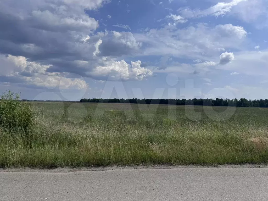 Участок 4,3 га (СНТ, ДНП) - Фото 1