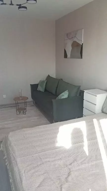 1-к кв. Московская область, Балашиха Новое Павлино мкр, ул. Троицкая, ... - Фото 2