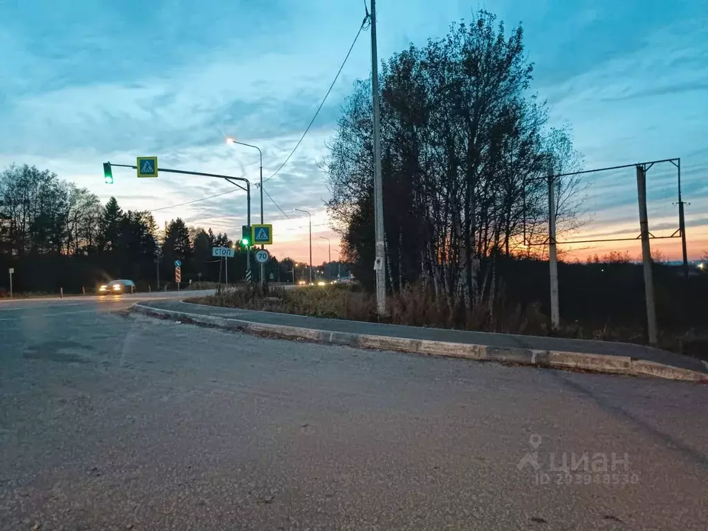 Участок в Ярославская область, Тутаевский район, Константиновское ... - Фото 0