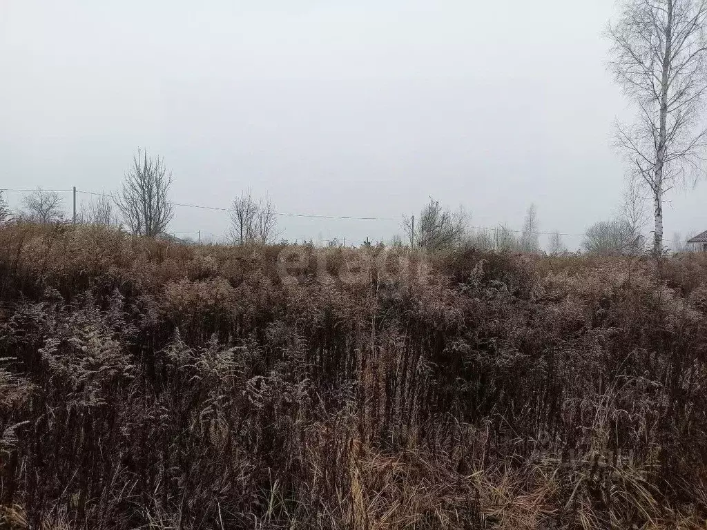 Участок в Брянская область, Брянский район, Добрунское с/пос, БЭМЗ СДТ ... - Фото 1