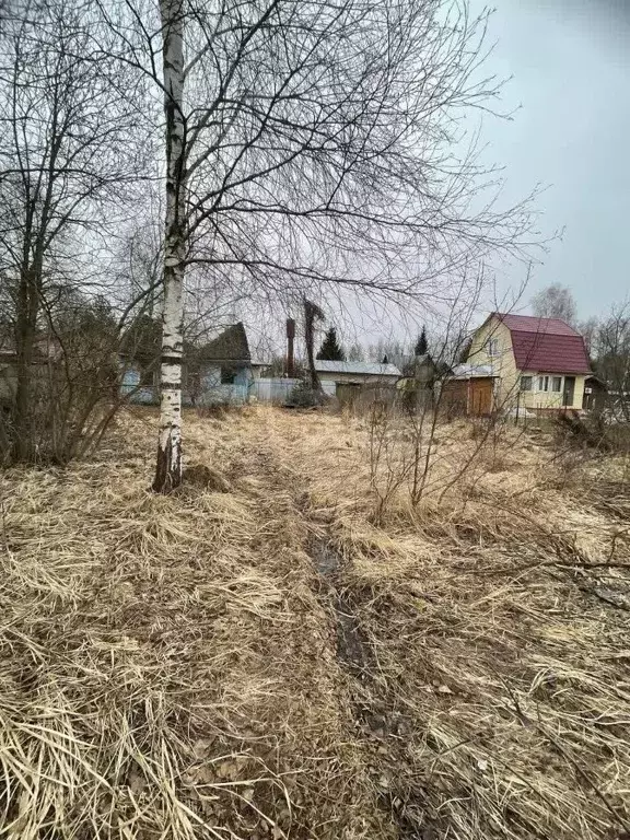 Участок в Калужская область, Боровский муниципальный округ, с. Ворсино ... - Фото 2