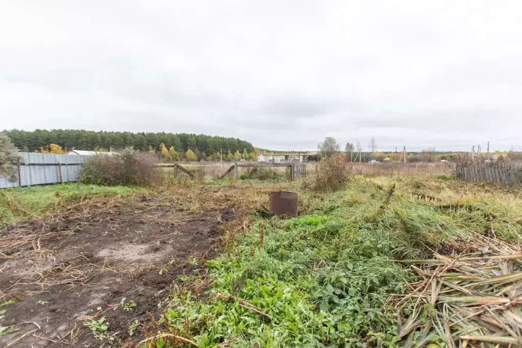 Участок в Тюменская область, Тобольский муниципальный округ, ... - Фото 2