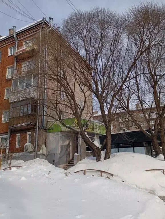 Помещение свободного назначения в Удмуртия, Ижевск Красноармейская ... - Фото 1