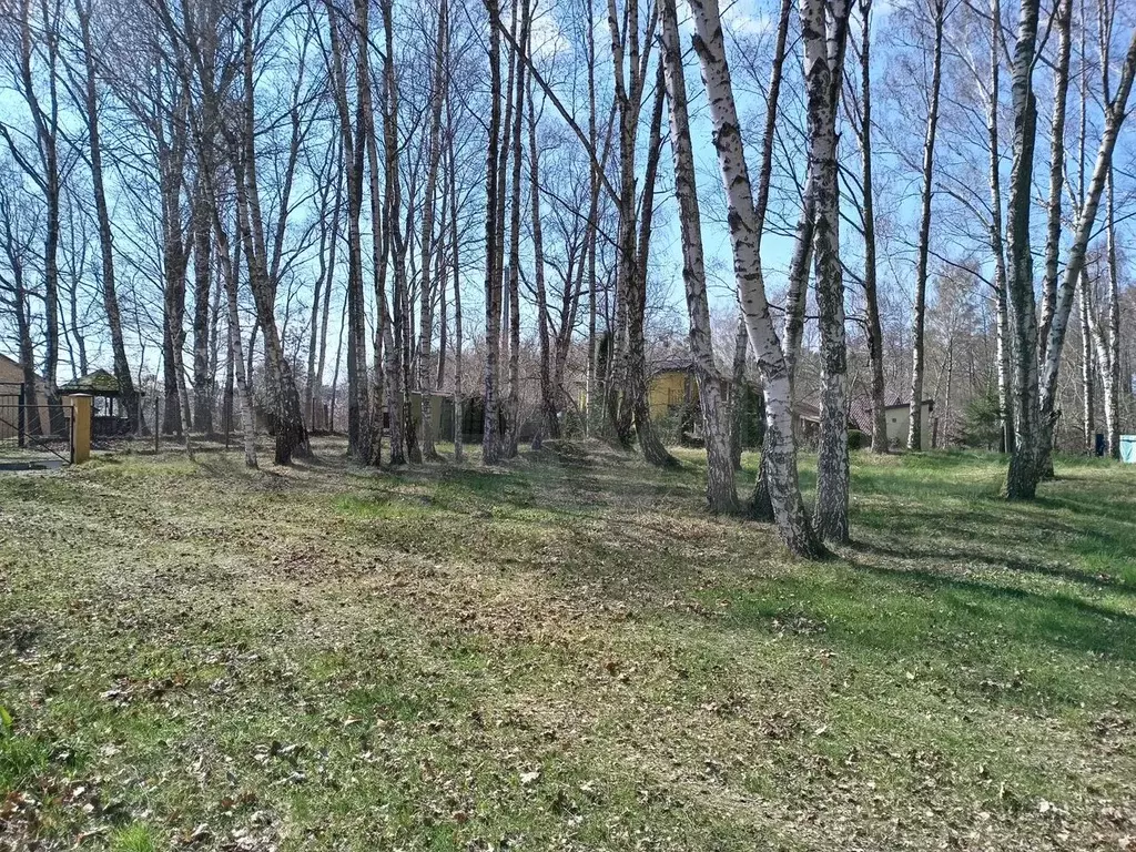 Участок 9,12 га (СНТ, ДНП) - Фото 0