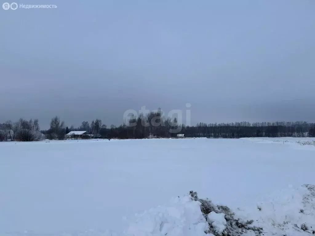 Участок в Красносельский район, Шолоховское сельское поселение, ... - Фото 1