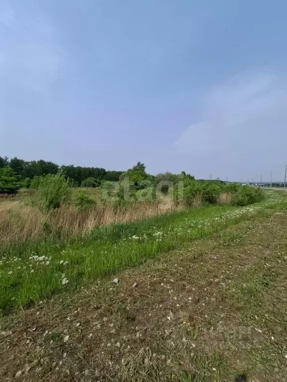 Участок в Хабаровский край, Хабаровский район, с. Краснореченское  ... - Фото 1