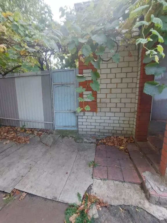 Дом в Курская область, Тим рп ул. Красноармейская (55 м) - Фото 2