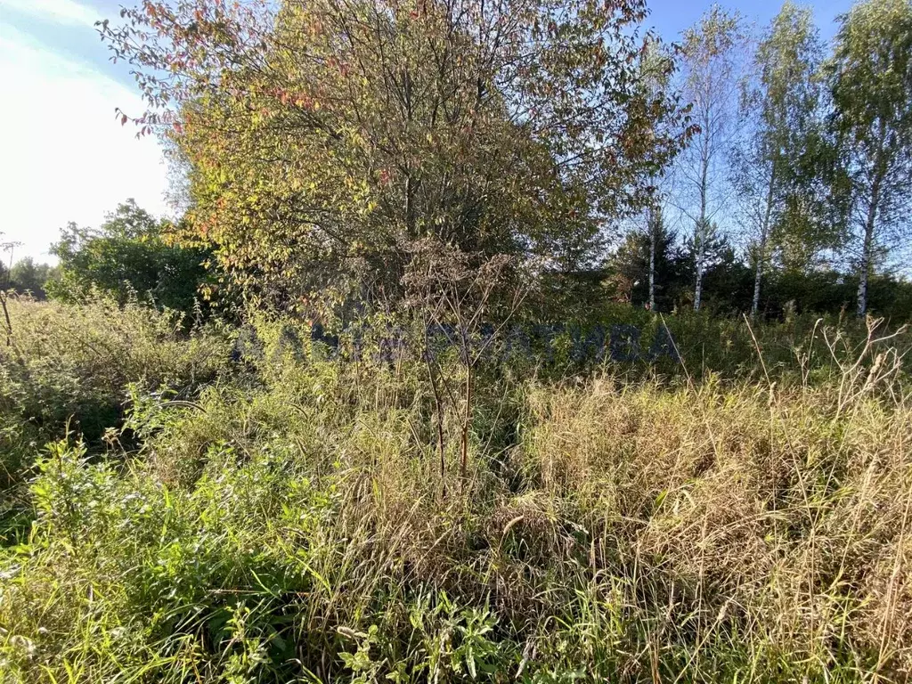 Участок в Ярославская область, Переславль-Залесский муниципальный ... - Фото 2