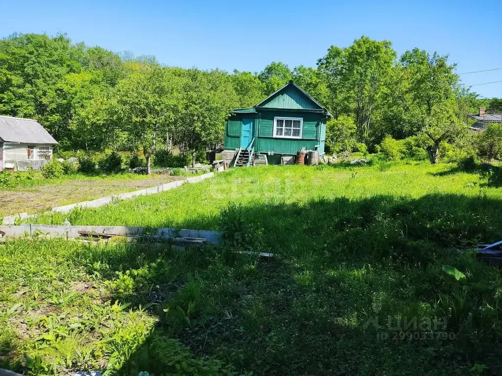 Дом в Приморский край, Надеждинский район, Вишенка СНТ  (33 м) - Фото 1