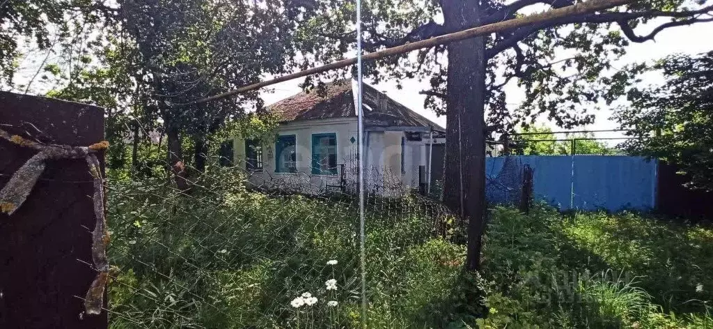 Дом в Белгородская область, Губкинский городской округ, с. Мелавое ул. ... - Фото 1