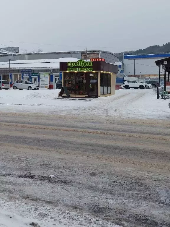 Торговая площадь в Алтайский край, Белокуриха ул. Академика Мясникова, ... - Фото 2
