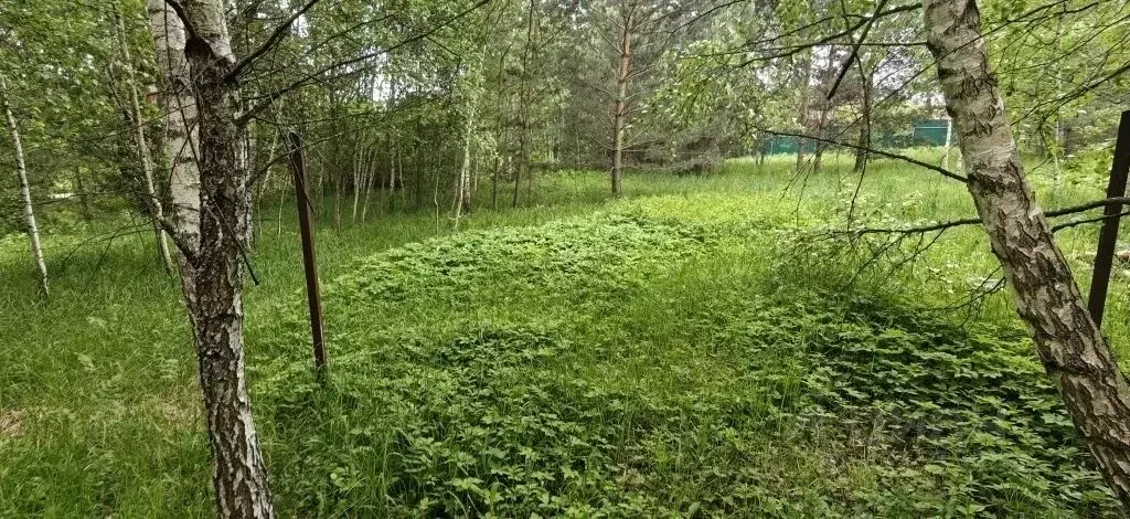 Участок в Московская область, Рузский муниципальный округ, д. ... - Фото 1