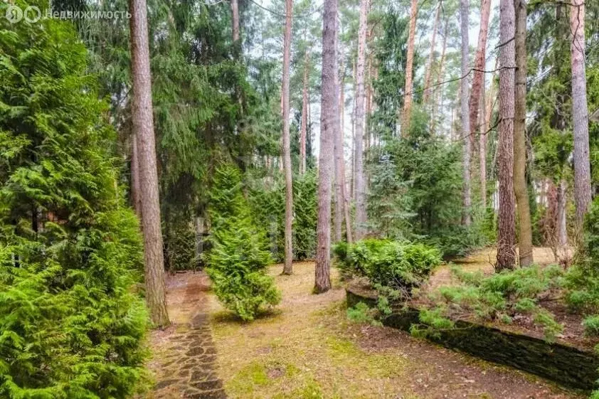 Участок в Одинцовский городской округ, посёлок Николина Гора (25.8 м) - Фото 2