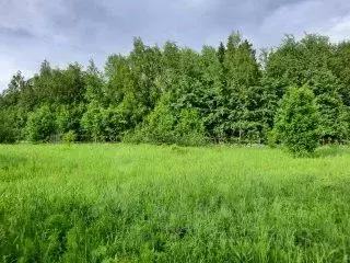 Участок в Московская область, Сергиево-Посадский городской округ, ... - Фото 1