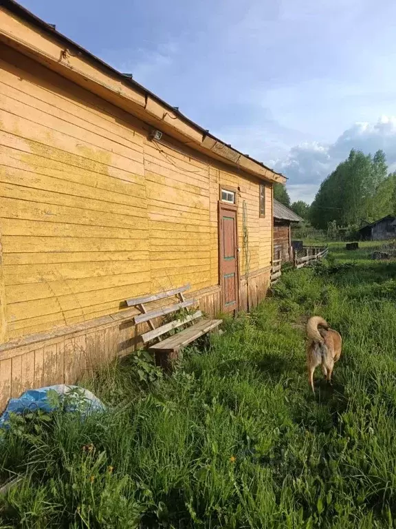 Дом в Ивановская область, Лежневское с/пос, д. Щапово 2 (43 м) - Фото 1