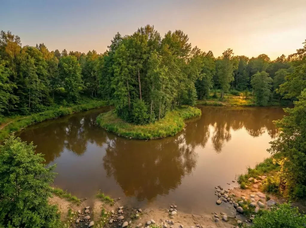 Участок в Московская область, Солнечногорск городской округ, д. ... - Фото 1