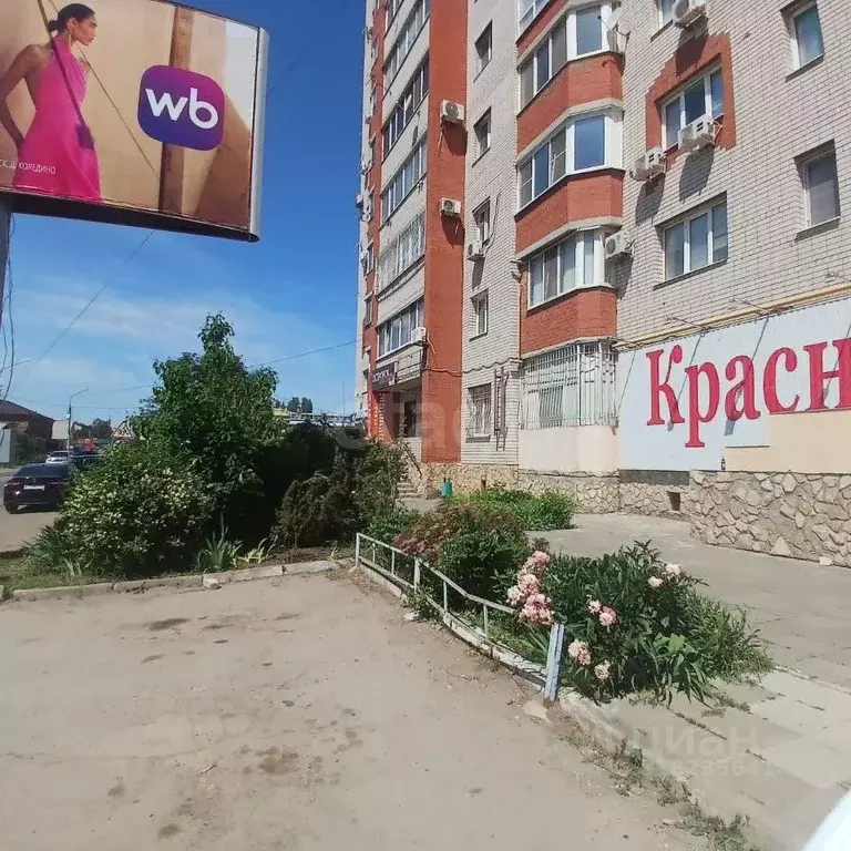 Торговая площадь в Саратовская область, Энгельс Московская ул., 30 (60 ... - Фото 1