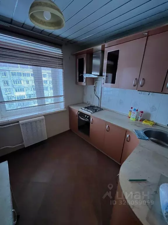 1-к кв. Московская область, Ступино городской округ, с. Лужники ул. ... - Фото 2