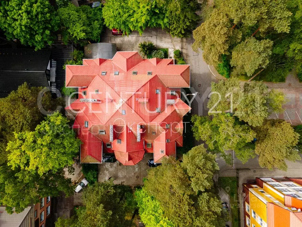 3-к кв. Калининградская область, Светлогорск ул. 8 Марта, 5 (96.0 м) - Фото 1