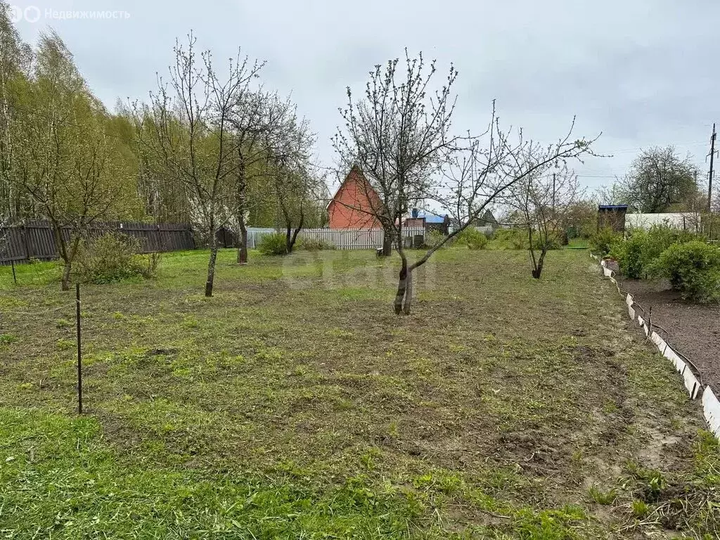 Участок в Кострома, НСТ Заря (5 м) - Фото 1