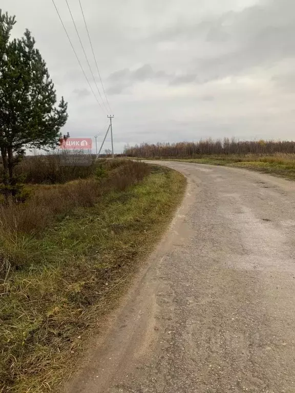 Участок в Рязанская область, Рязанский муниципальный округ, с. ... - Фото 1