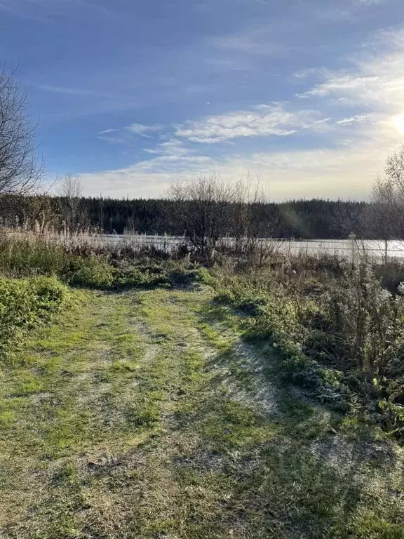 Участок в Мурманская область, Кольский муниципальный округ, ... - Фото 1