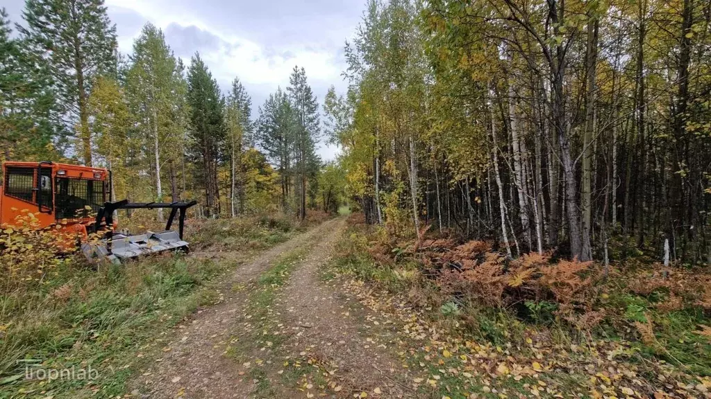 Участок в Иркутская область, Иркутский муниципальный округ, Пчелка СНТ ... - Фото 2