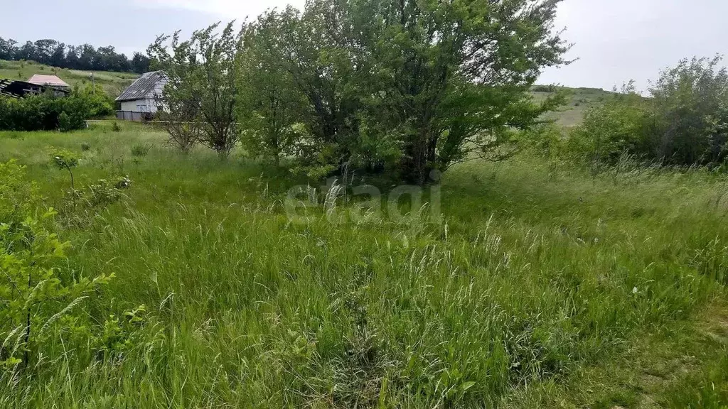 Участок в Ставропольский край, Ставрополь Механизатор-2 садовое ... - Фото 1