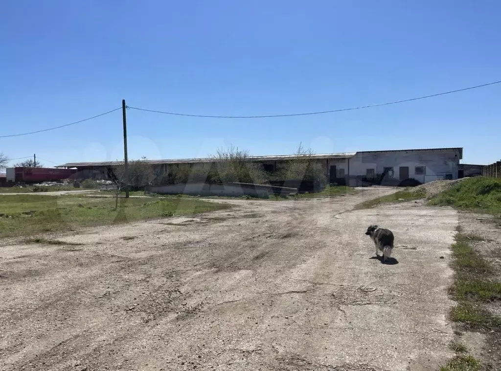 Склад в Крым, Симферопольский район, с. Укромное ул. Молодежная, 64Д ... - Фото 1