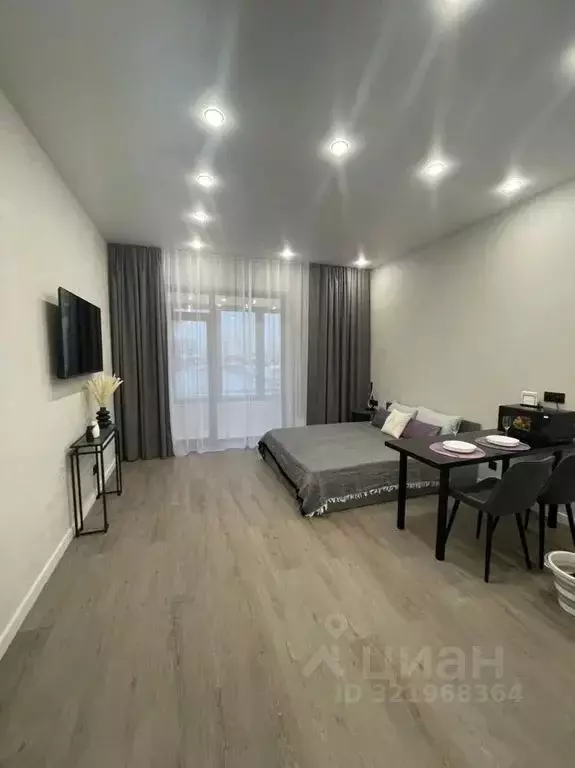 Студия Новосибирская область, Новосибирск Красный просп., 220 (33.0 м) - Фото 1