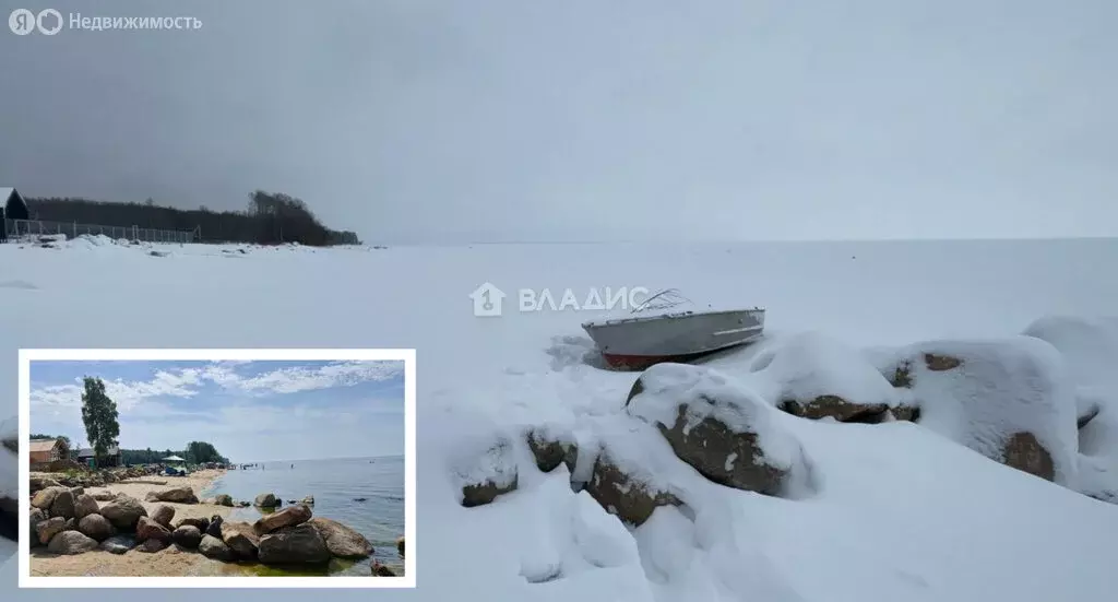 Участок в Ярославская область, Рыбинский муниципальный округ, деревня ... - Фото 2