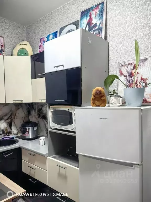 Студия Красноярский край, Красноярск ул. 40 лет Победы, 2 (28.0 м) - Фото 1