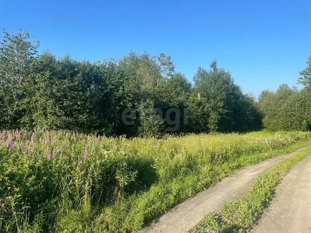 Участок в Карелия, Прионежский район, с. Деревянное пер. Ивовый (15.0 ... - Фото 1