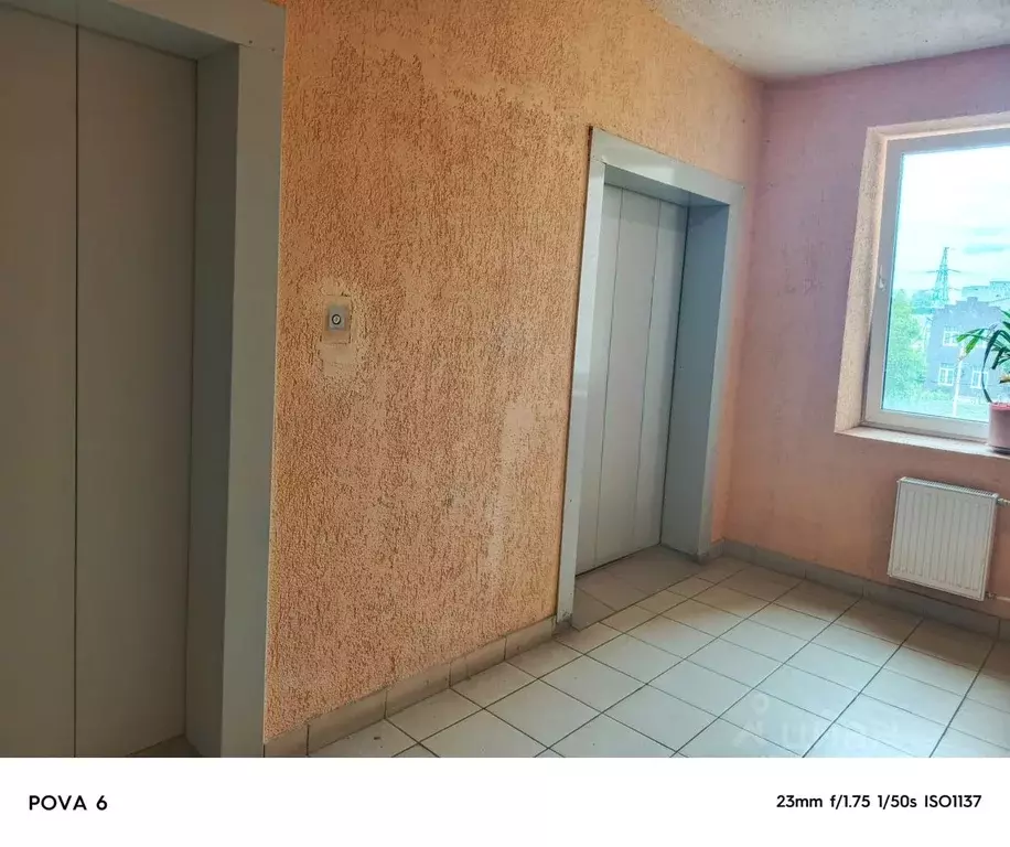 Студия Тульская область, Новомосковск ул. Мира, 13Д (32.8 м) - Фото 1