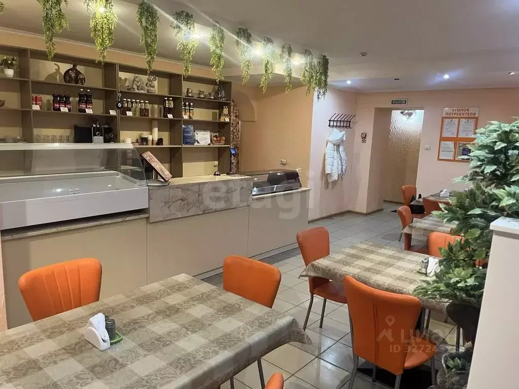 Торговая площадь в Ямало-Ненецкий АО, Тарко-Сале Пуровский район, ул. ... - Фото 2