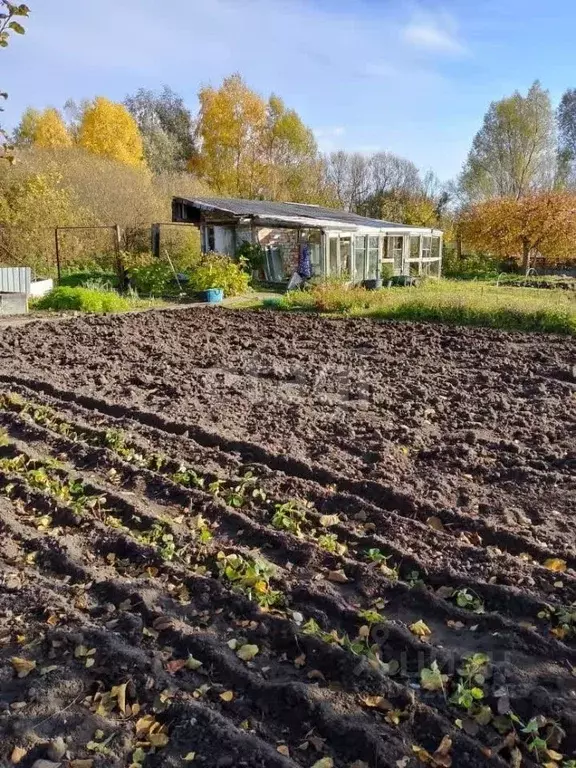 Участок в Калининградская область, Приморск  (11.2 сот.) - Фото 2