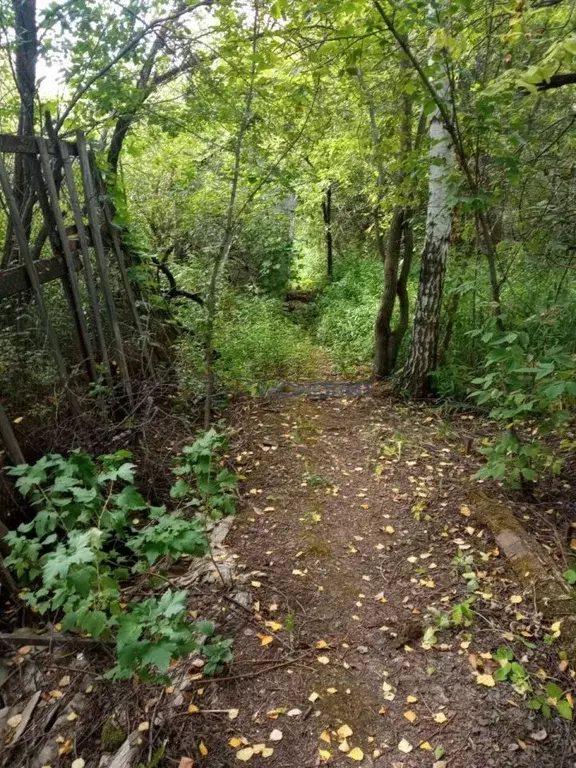 Участок в Нижегородская область, Нижний Новгород Связь СНТ,  (4.6 ... - Фото 2