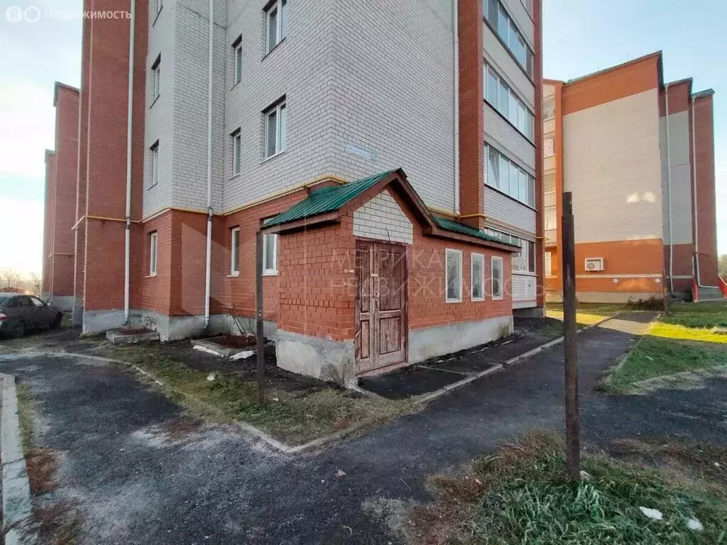 Помещение свободного назначения (63.5 м) - Фото 1