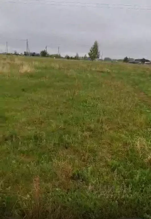 Участок в Челябинская область, Аргаяшский муниципальный округ, ... - Фото 2