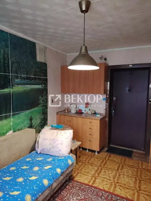 Комната Костромская область, Кострома ул. Димитрова, 18 (12.3 м) - Фото 1