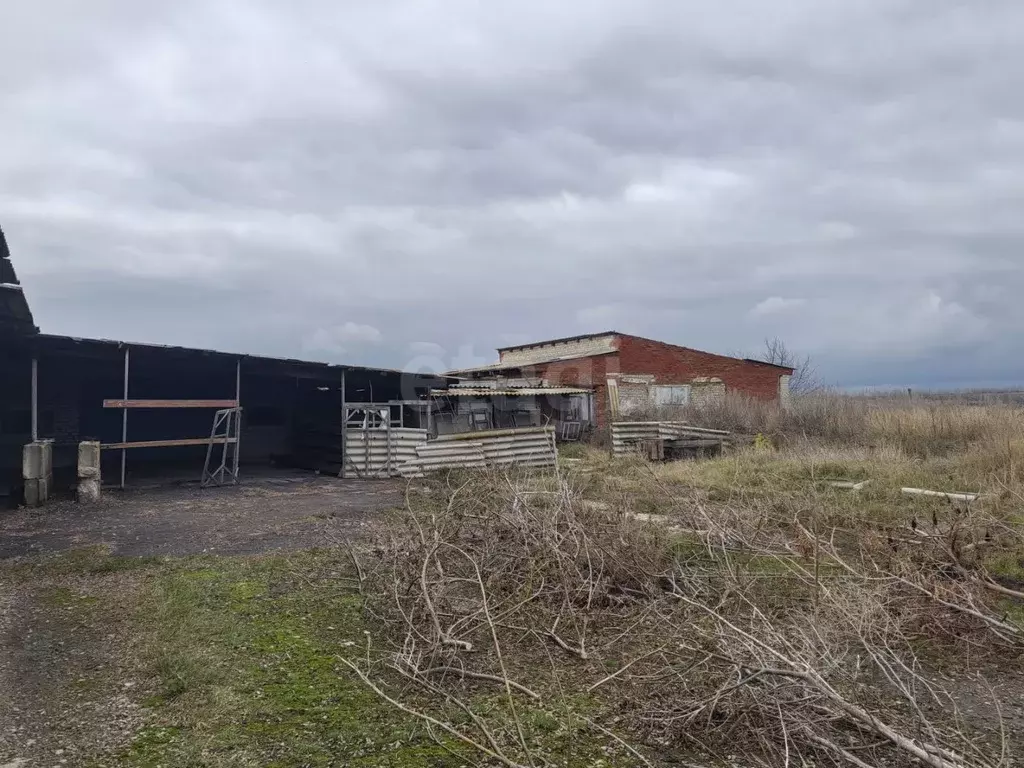Участок в Белгородская область, Алексеевский муниципальный округ, с. ... - Фото 2