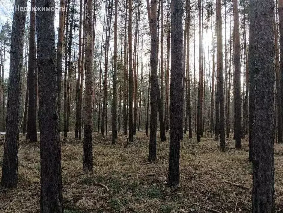 Участок в село Новая Усмань, Захлебная улица, 12 (15 м) - Фото 0