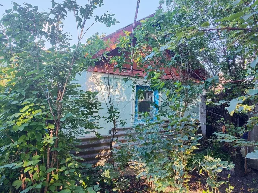 Дом в Белгородская область, Яковлевский муниципальный округ, с. Шопино ... - Фото 2